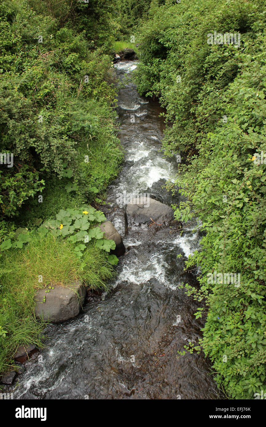 Whitewater rapids on a small river near the Peguche Falls near Otavalo, Ecuador Stock Photo