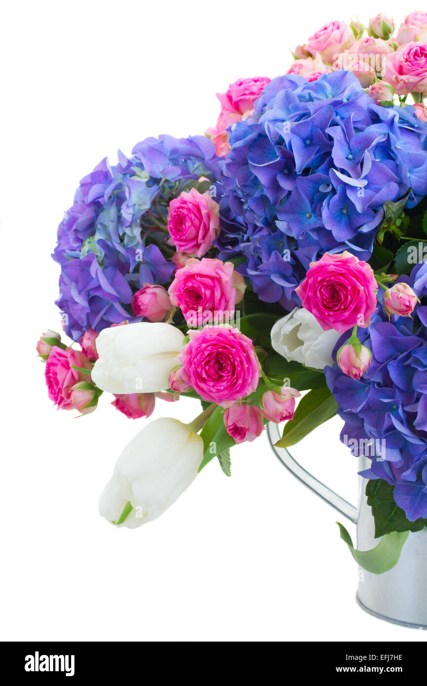 pink roses and blue hortensia flowers close up Stock Photo - Alamy