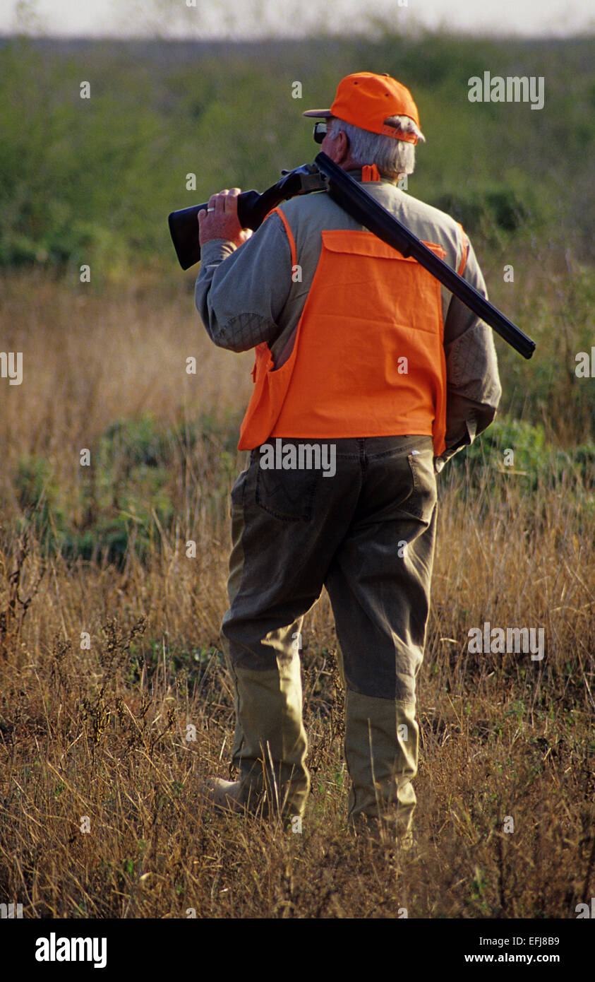 A hunter walks with his shotgun while quail hunting on the King Ranch in South Texas Stock Photo