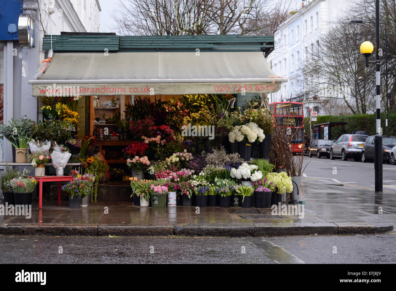 Flower corner shop Stock Photo Alamy