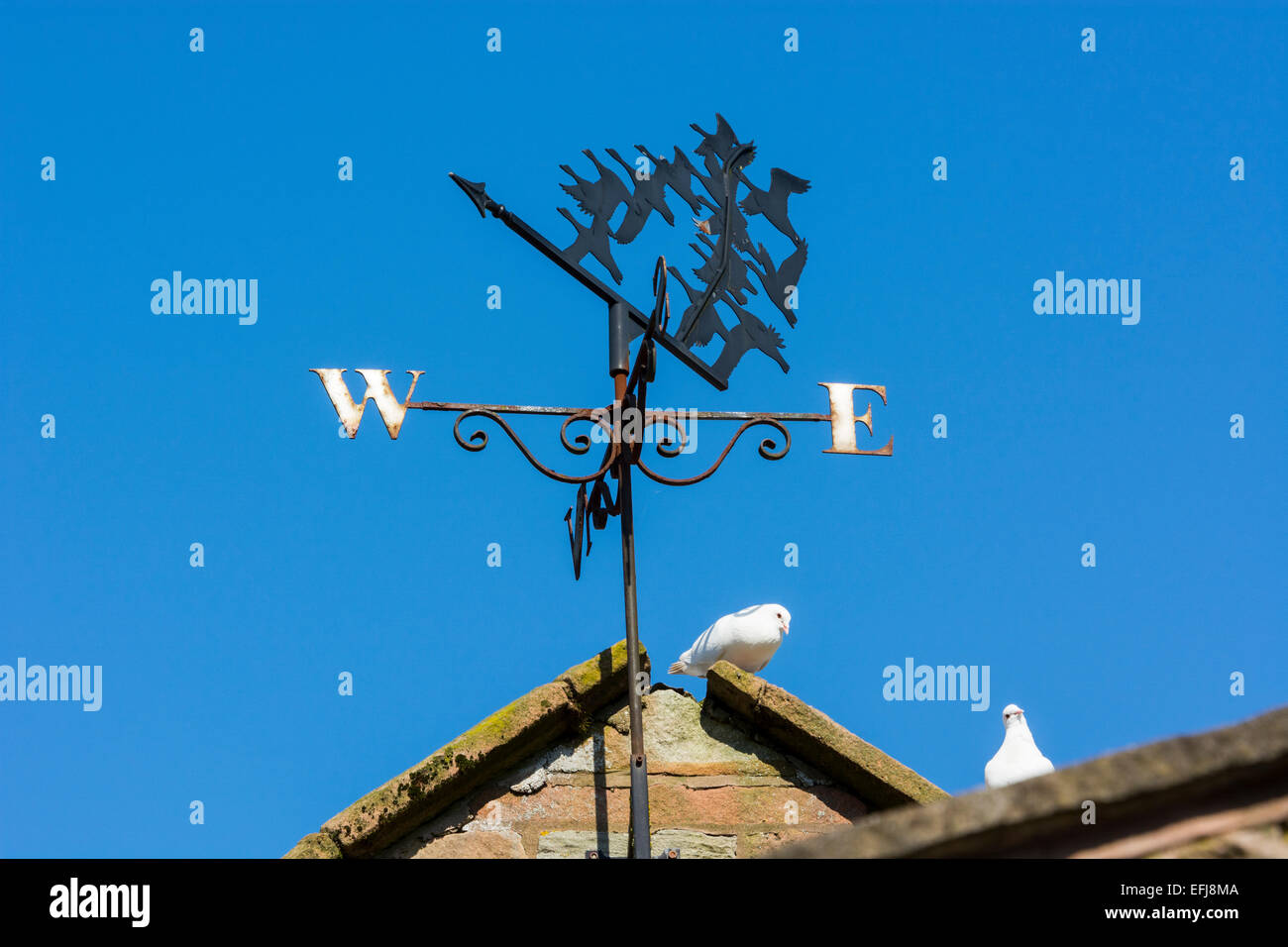 Weather wind weathervane hires stock photography and images Alamy