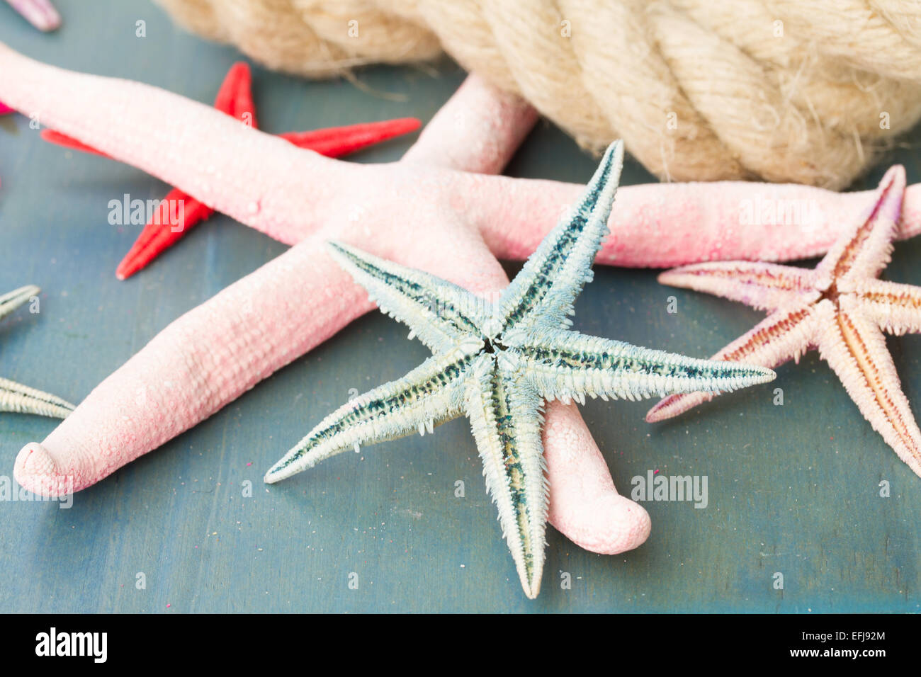 marine rope with starfish Stock Photo - Alamy