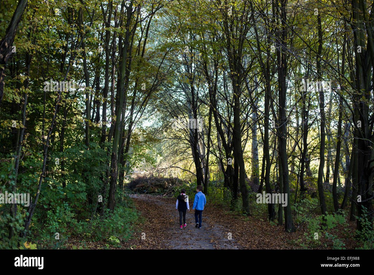 Boy and girl walking in the forest Stock Photo - Alamy