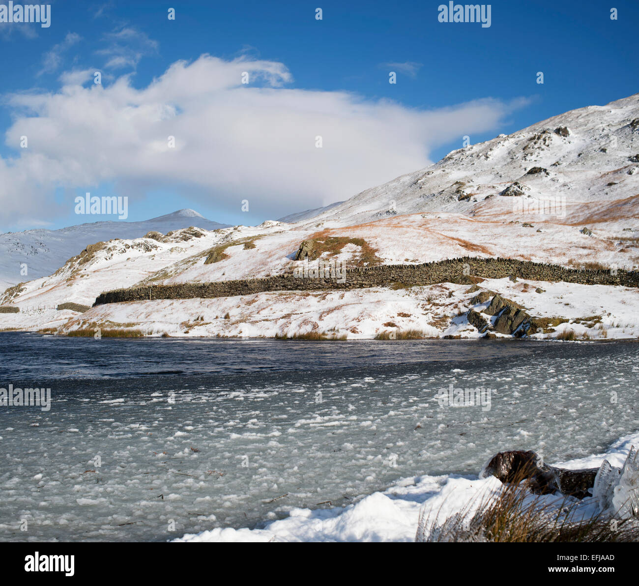 Tarn english lake district hi-res stock photography and images - Alamy
