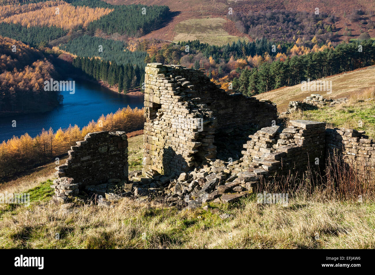 Ruin of Bamford house in the Derwent valley, Derbyshire on a sunny autumn day. Looking down at