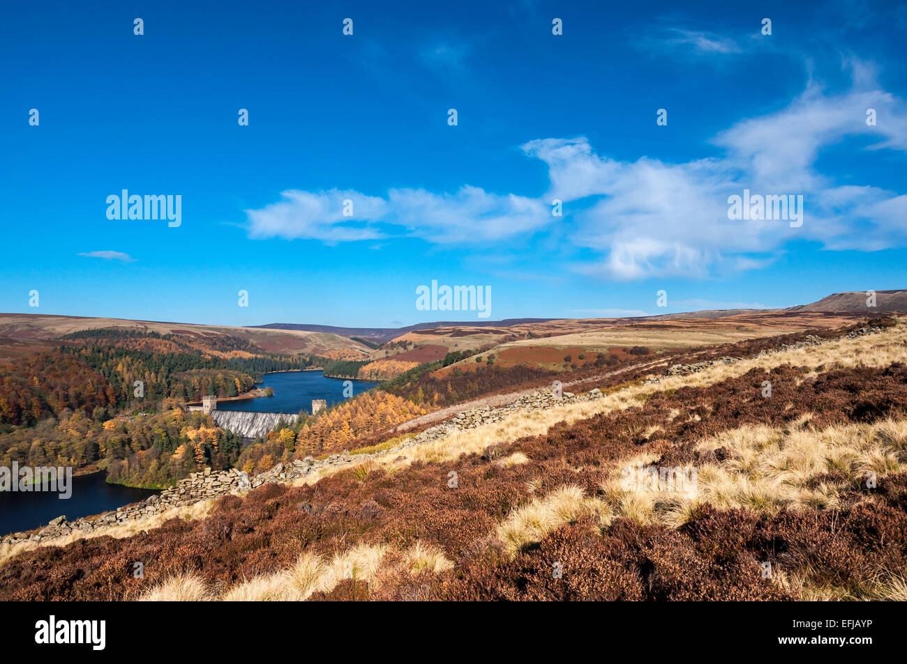 The Upper Derwent valley with rich autumn colours on the moors and forest with Howden dam seen in the valley below. Stock Photo