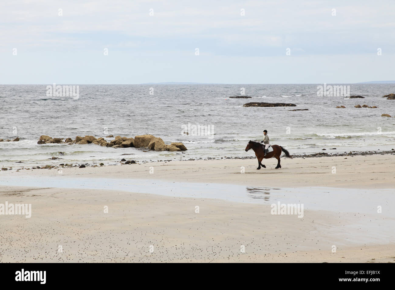 Horse riding on the beach in Galway Bay Ireland Stock Photo