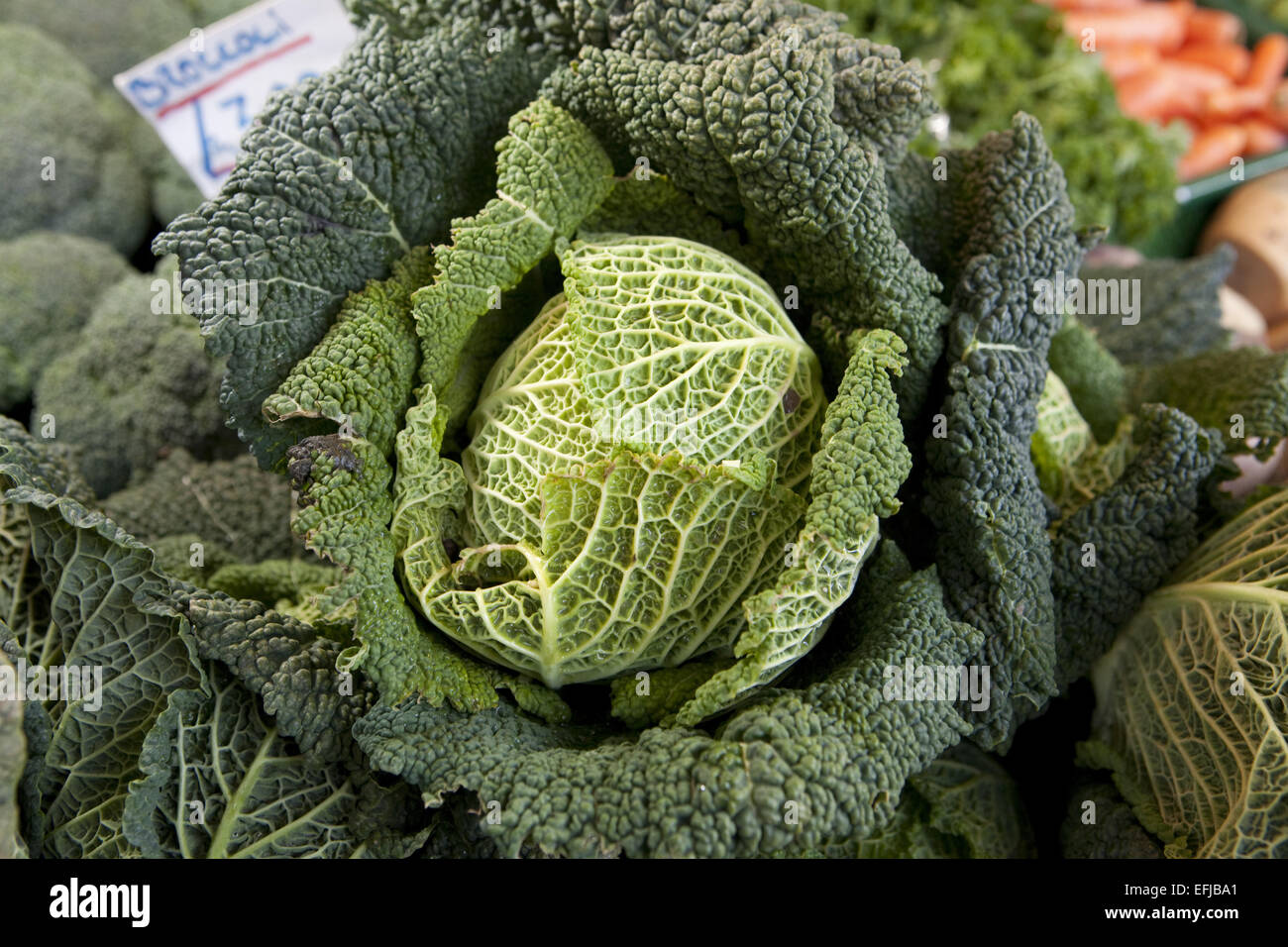 Cabbage for sale on Market stall Stock Photo Alamy