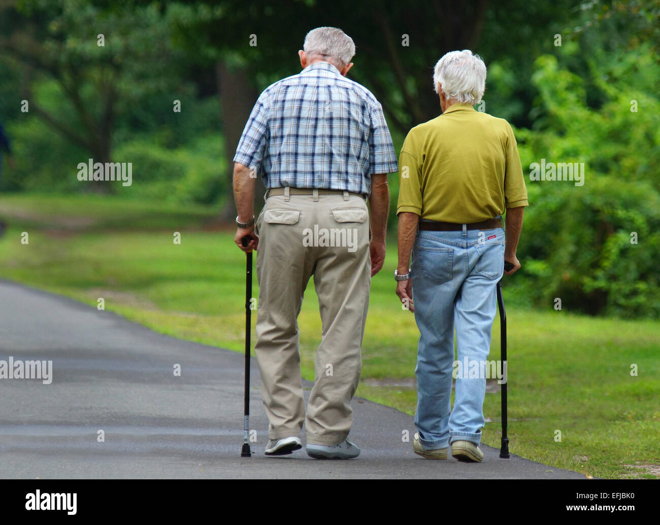 Two older gentlemen walking in the park with canes photographed from the back Stock Photo