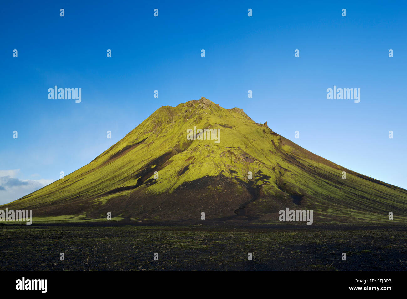 Picture of Image result for simple-to-learn tying motions for accessibility