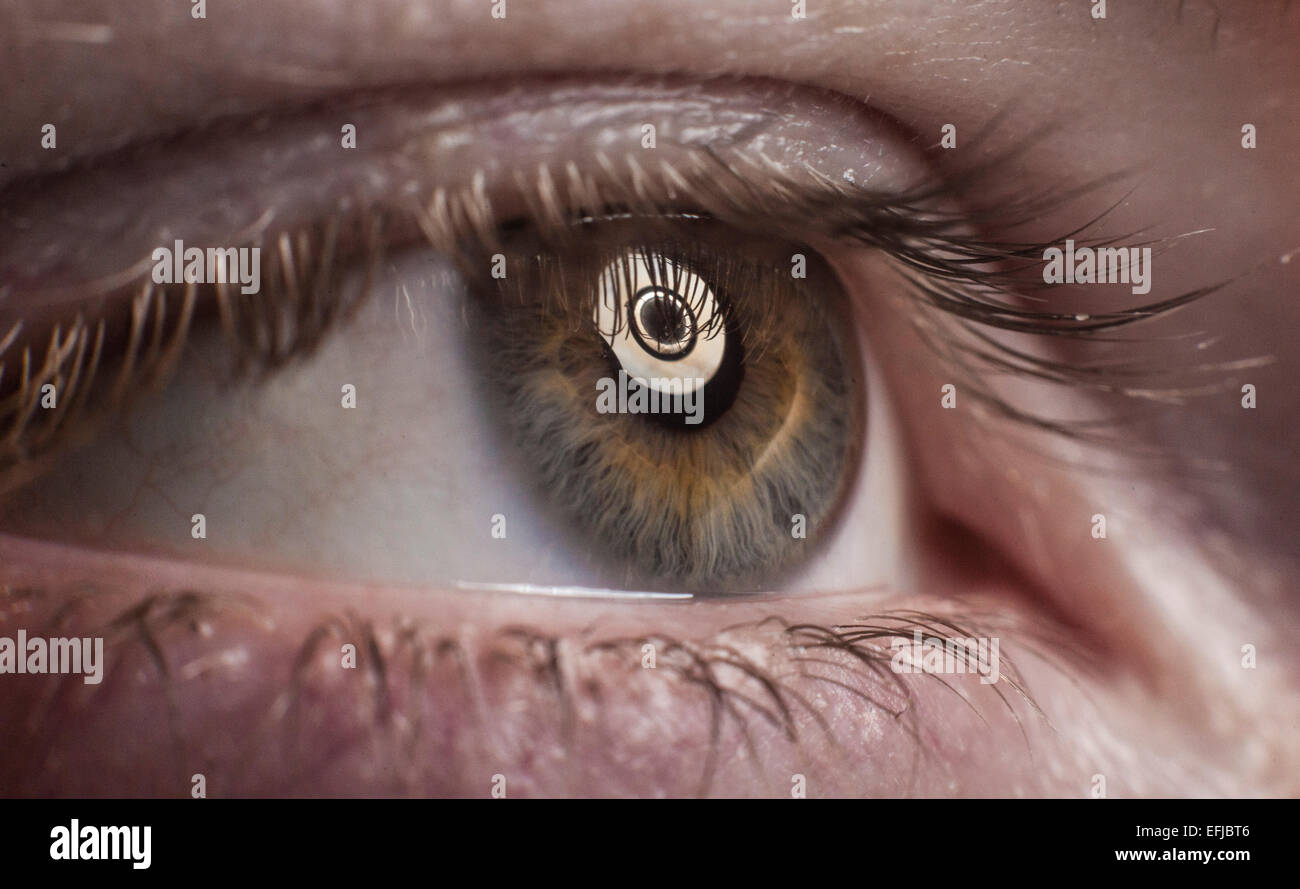 Hazel Eye High Resolution Stock Photography and Images