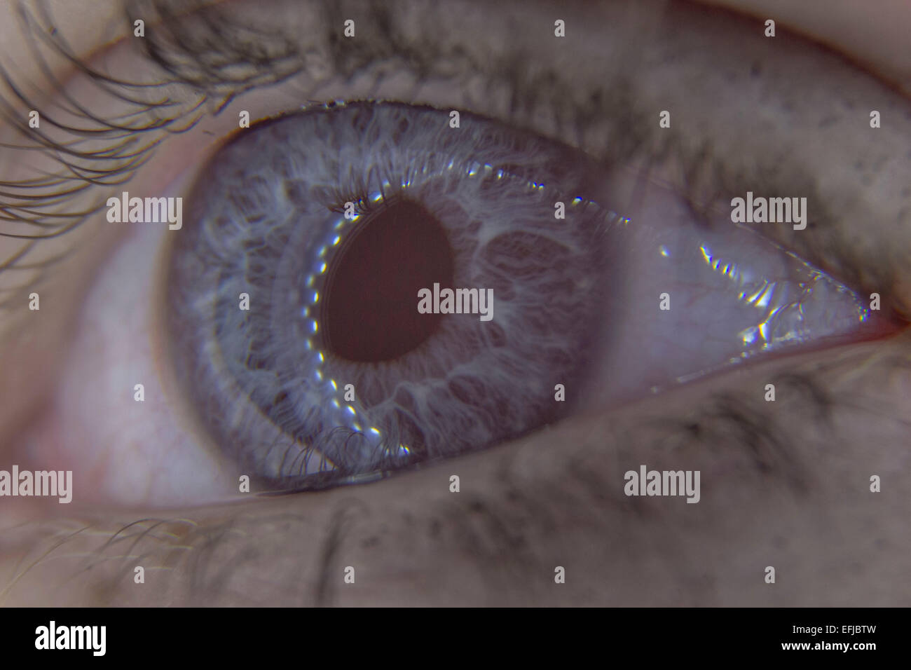 Blue eye ring hires stock photography and images Alamy