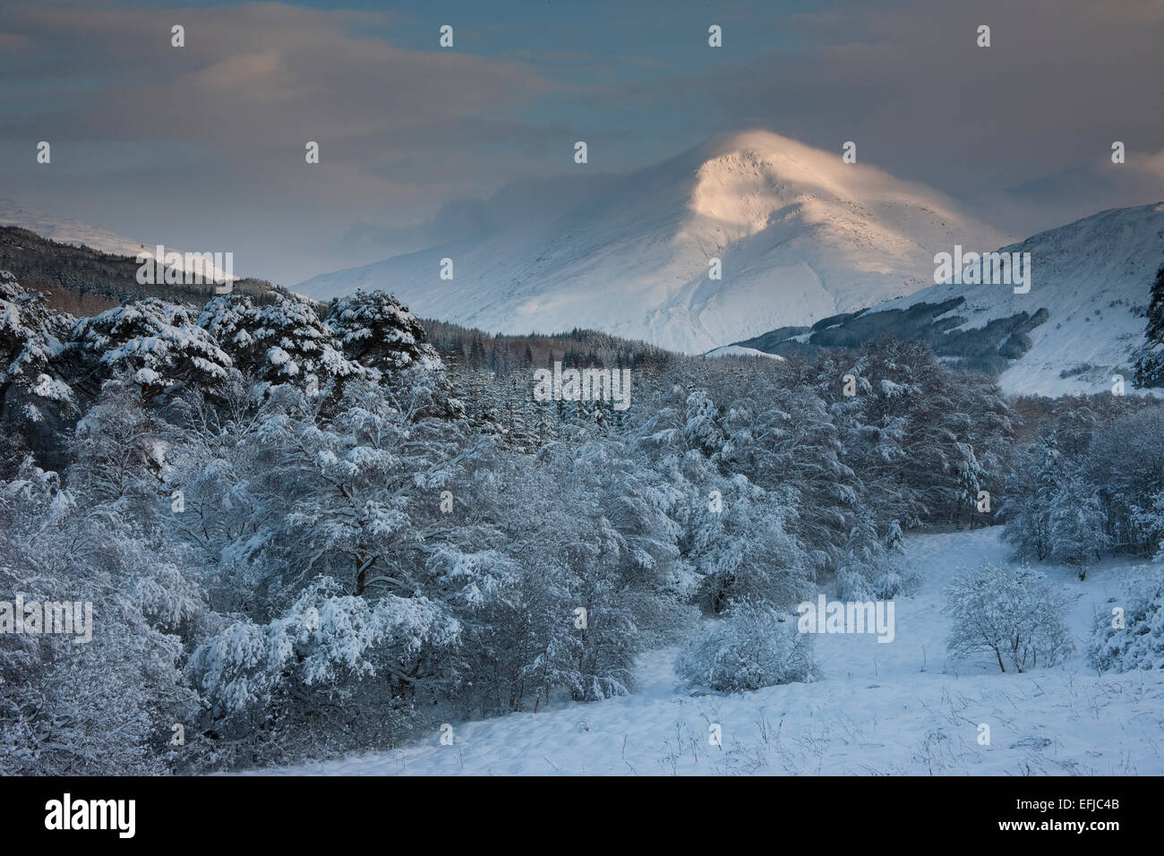 Winter view of Ben More, Crianlarich, Highlands Stock Photo Alamy