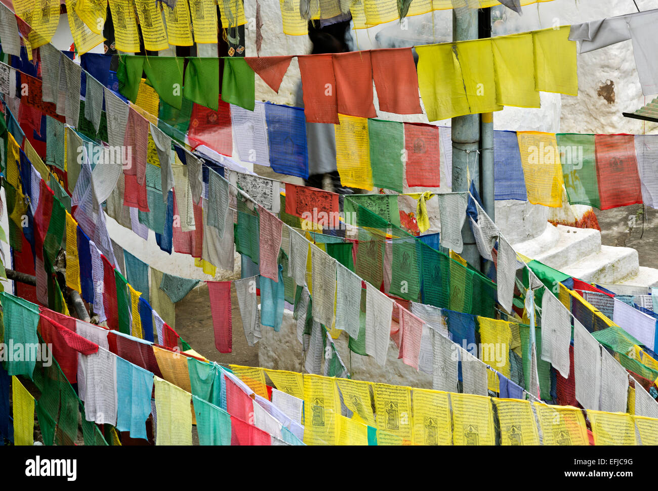BU00028-00...BHUTAN - Prayer flags obscuring view of a small chorten in the capital city of Thimphu. Stock Photo