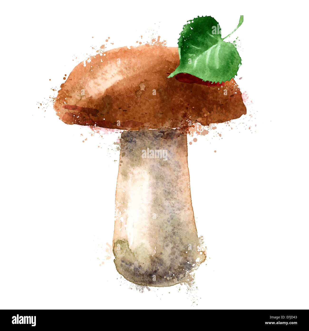 mushroom vector logo design template. nature or food icon. Stock Photo