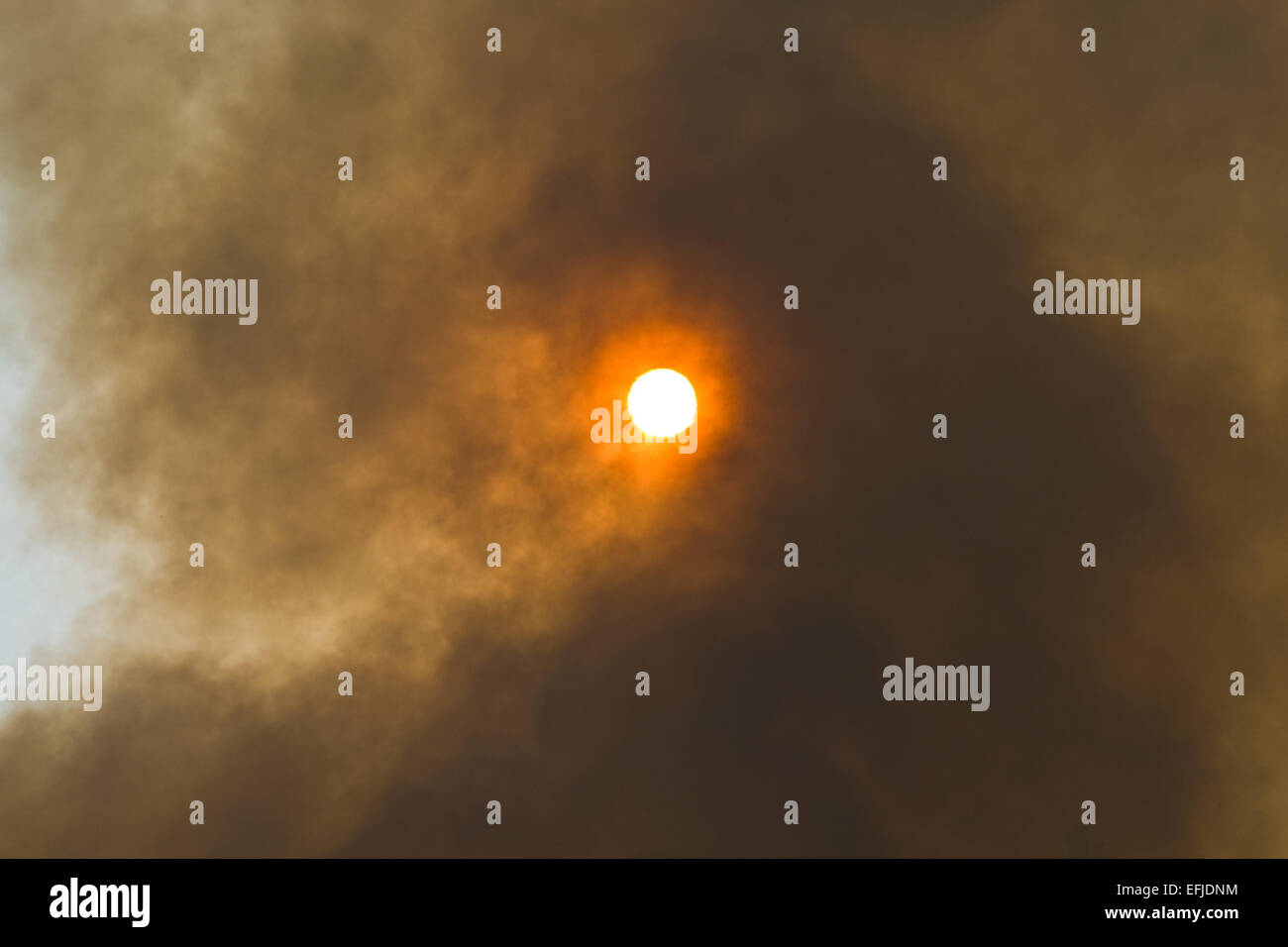 Smoke from controlled burning of trees and vegetation in the New Forest obscures the sun Stock Photo