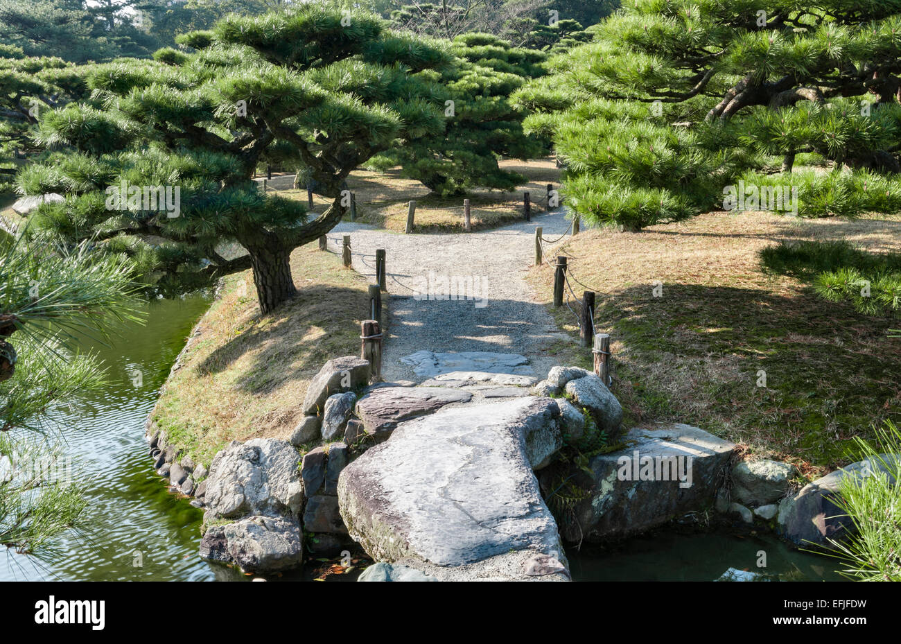 Ritsurin-koen garden, Takamatsu, Japan. A stone bridge among black pine trees pruned in the byobu-matsu form Stock Photo