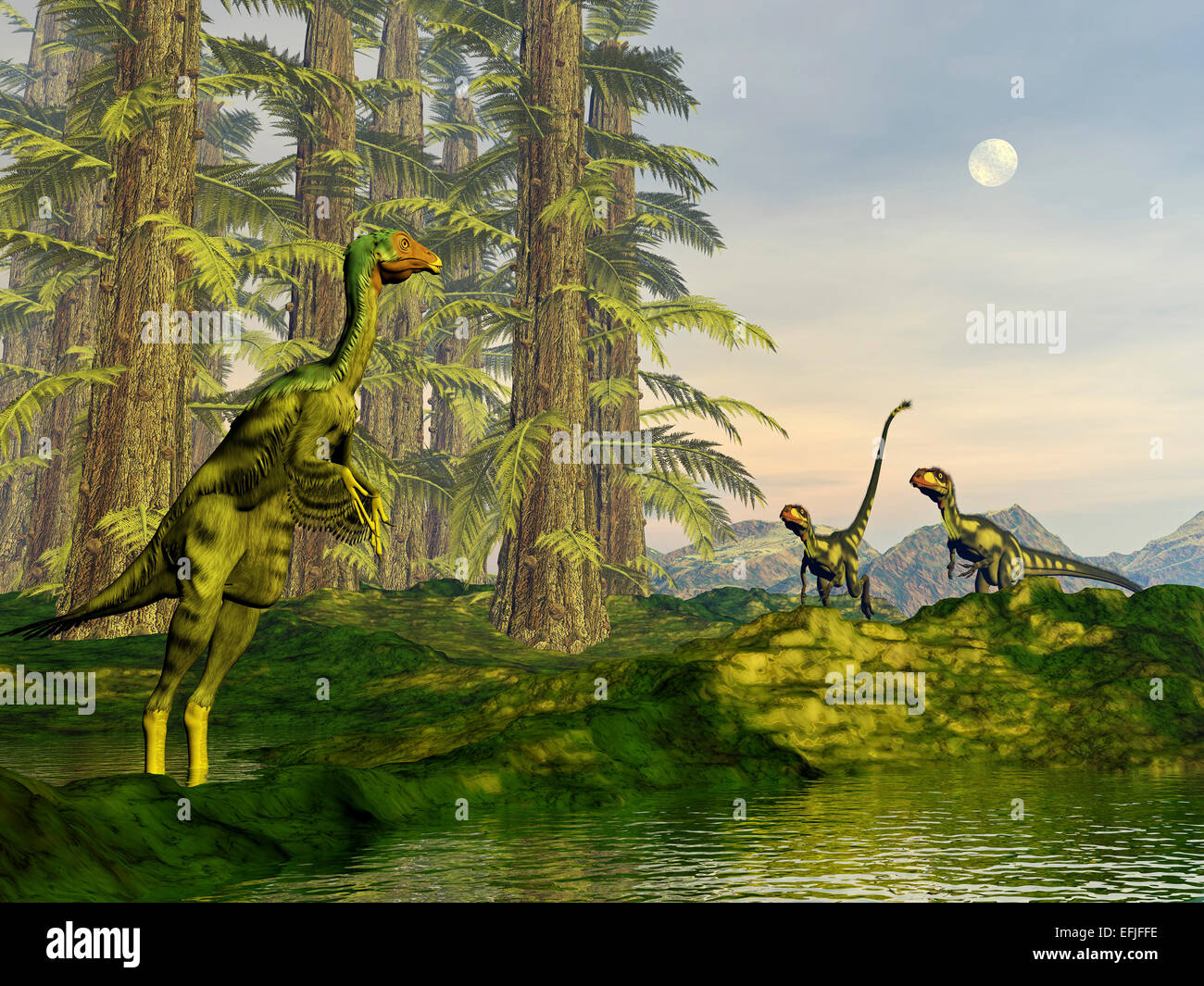 A Caudipteryx watching Dilong dinosaurs approaching approaching amongst Tempskya trees. Stock Photo