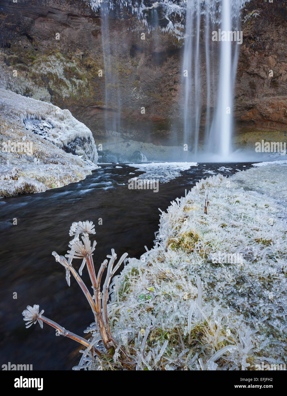Ice and frost at the Seljalandsfoss waterfall, South Iceland, Iceland Stock Photo