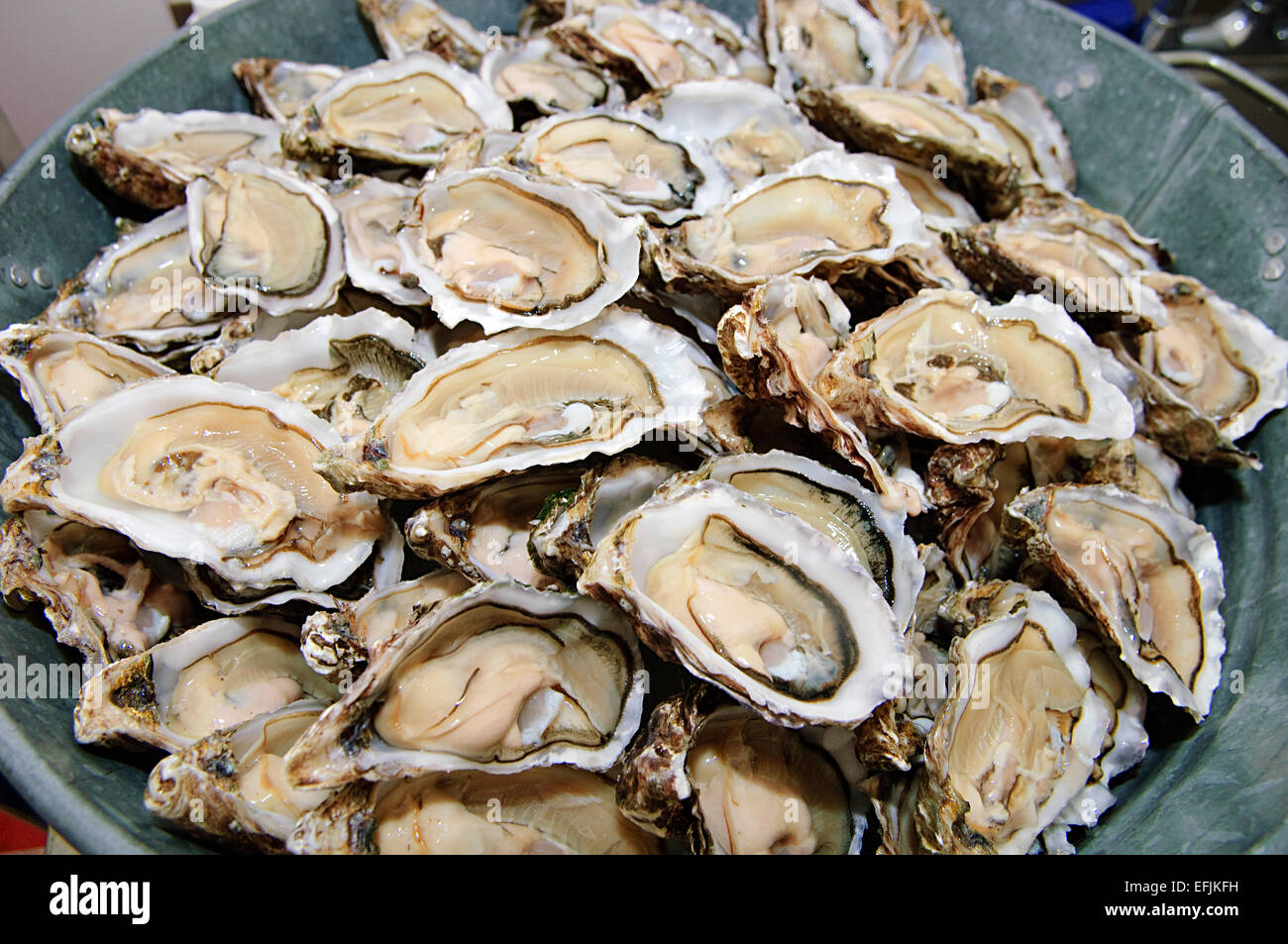 Bucket of oysters Stock Photo Alamy