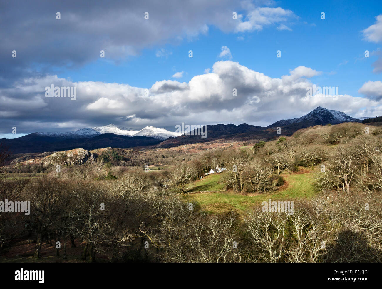 Snowdonia National Park, North Wales, UK. View of a snow covered Mount Snowdon from the Plas Brondanw estate near Portmeirion Stock Photo