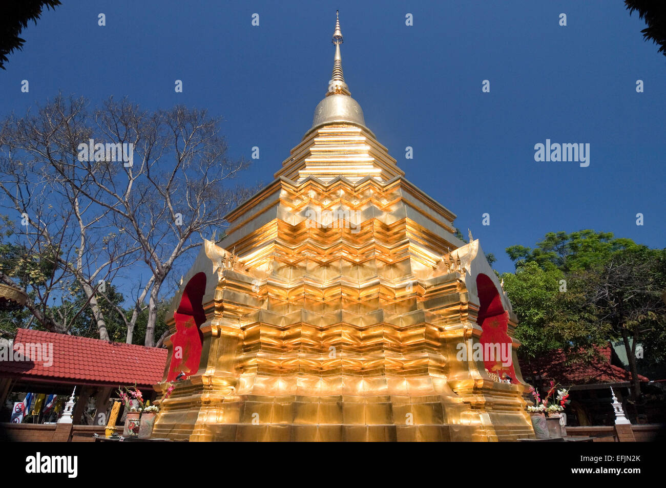 Horizontal view of the golden chedi at Wat Phan An in Chiang Mai. Stock Photo