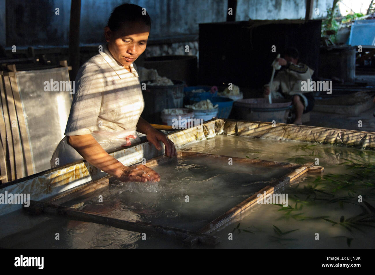 Horizontal portrait of a local Lao lady making washi, or handcrafted sa paper in Laos. Stock Photo
