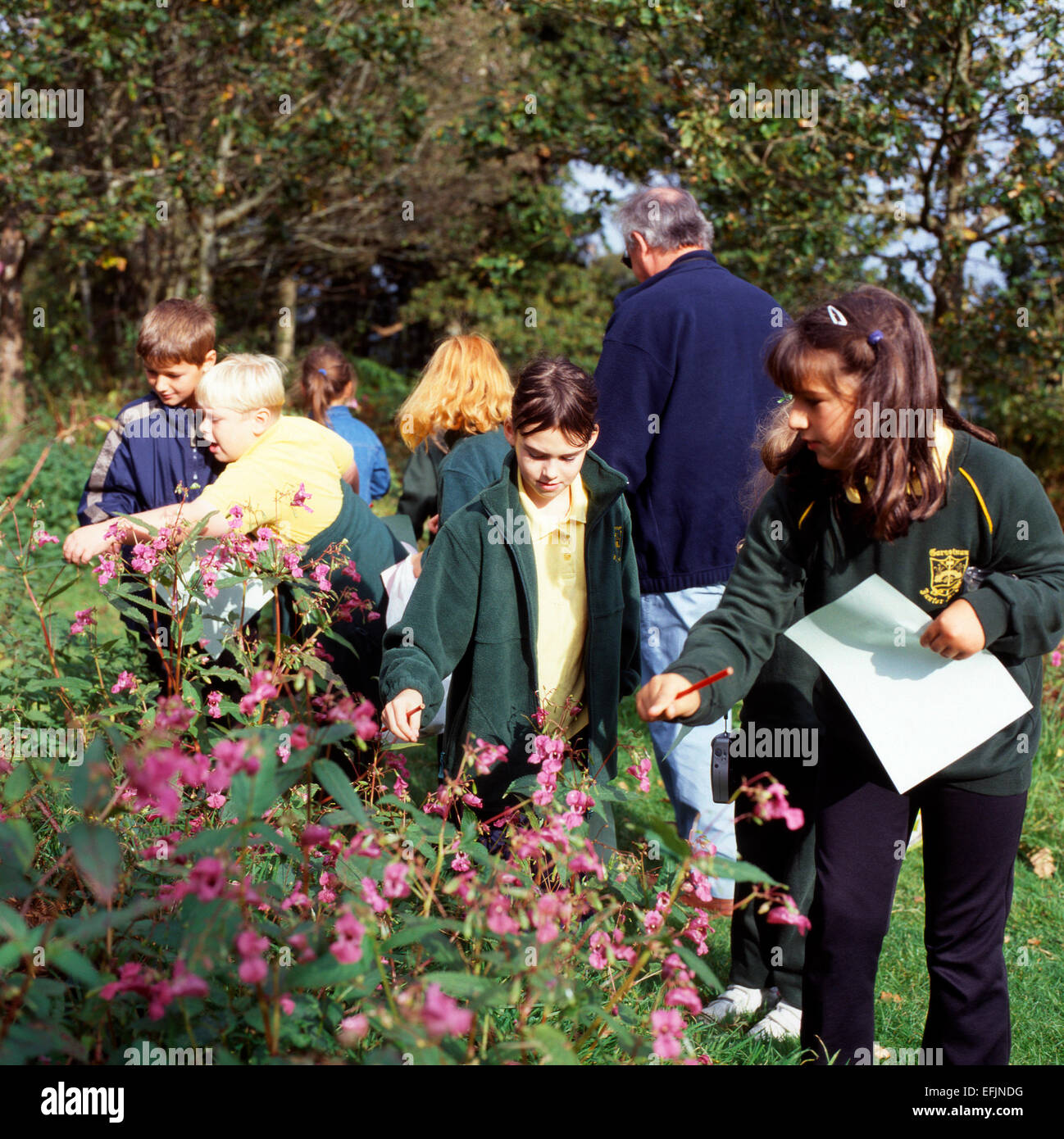 School children in uniform on a field trip nature walk looking at