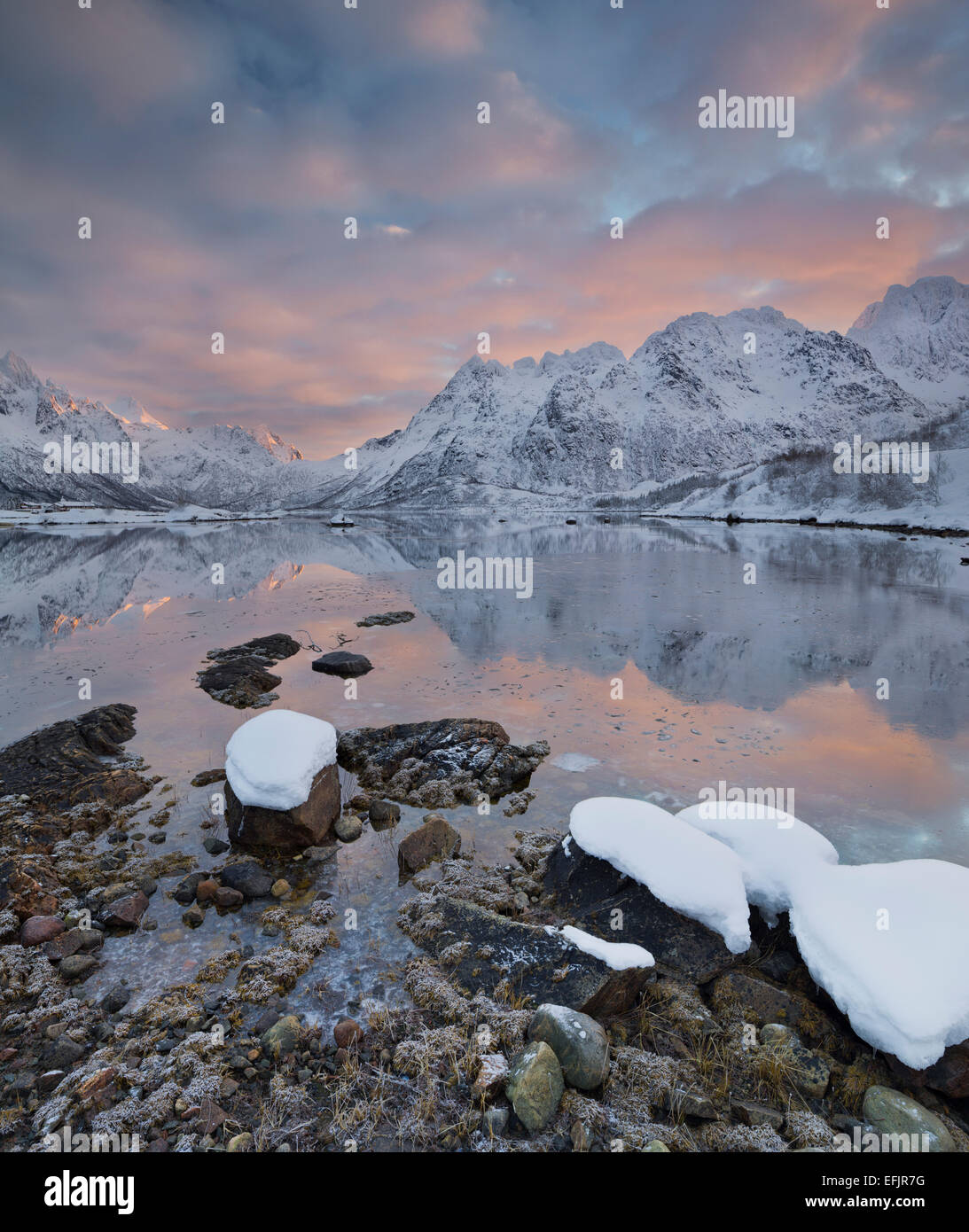 Harbour near Sildpollneset, Vestpollen, Austnesfjorden, Austvagoya, Lofoten, Nordland, Norway Stock Photo