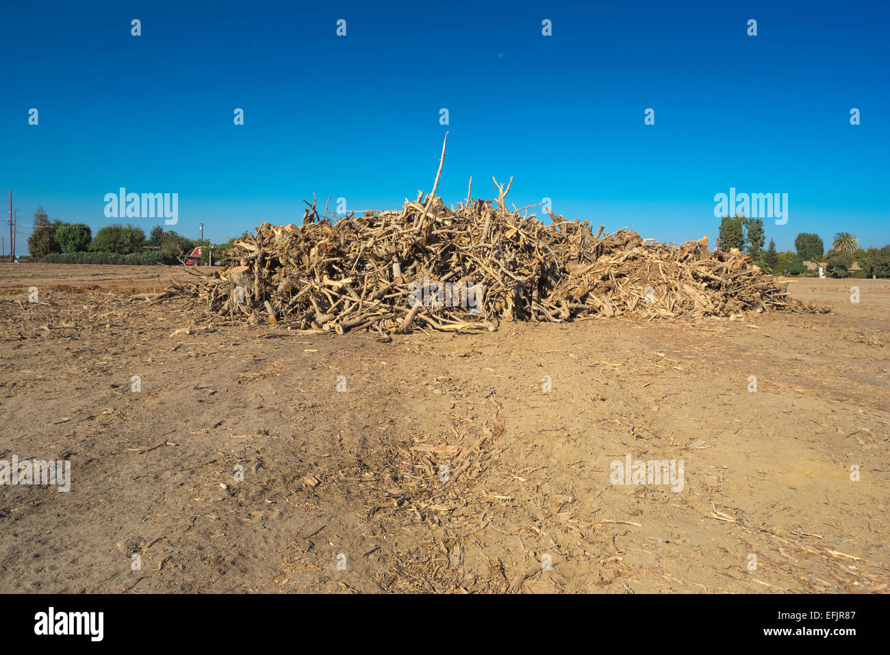 California central valley agriculture hires stock photography and