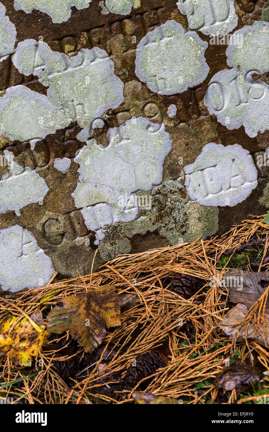 Lichen on memorial stone, Quaker burial ground, Coalbrookdale, Ironbridge, Shropshire, UK Stock Photo