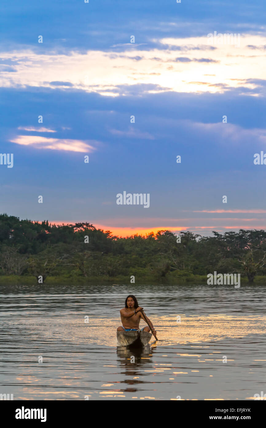 Indigenous Adult Man With Canoe On Lake Grande Cuyabeno National Park Ecuador At Sunset Model Released Stock Photo