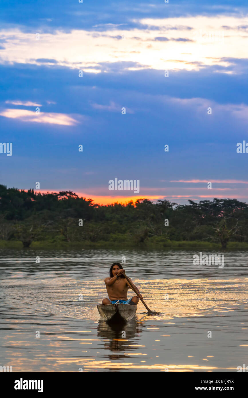 Indigenous Adult Man With Canoe On Lake Grande Cuyabeno National Park Ecuador At Sunset Model Released Stock Photo