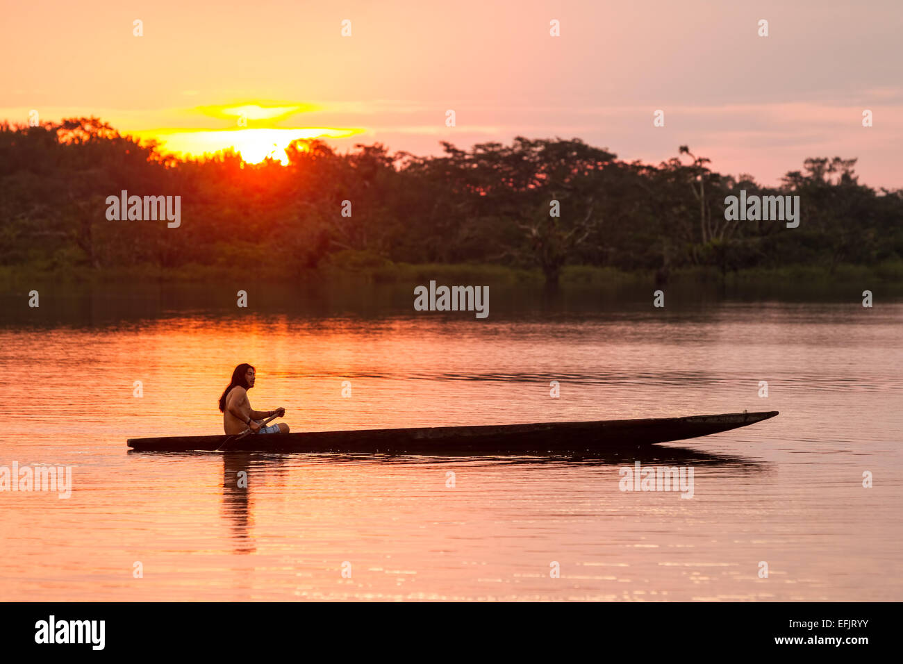 Indigenous Adult Man With Canoe On Lake Grande Cuyabeno National Park Ecuador At Sunset Model Released Stock Photo