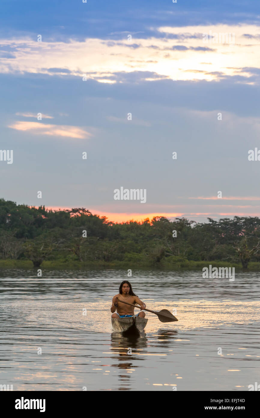 Indigenous Adult Man With Canoe On Lake Grande Cuyabeno National Park Ecuador At Sunset Model Released Stock Photo