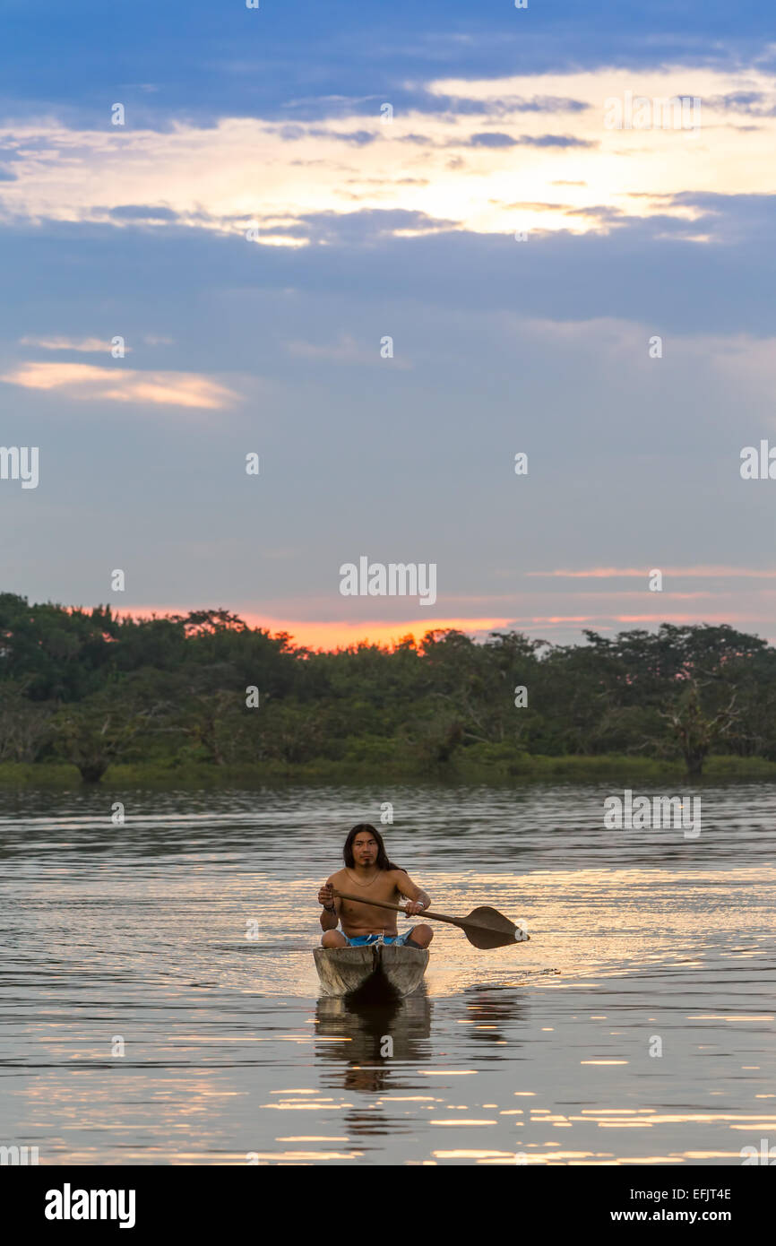 Indigenous Adult Man With Canoe On Lake Grande Cuyabeno National Park Ecuador At Sunset Model Released Stock Photo
