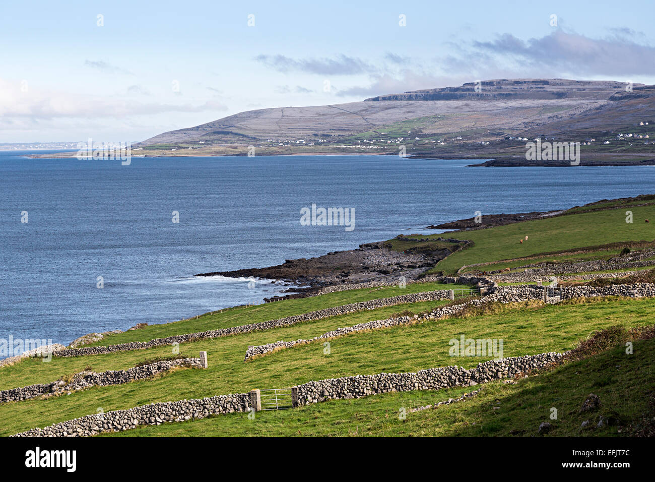 Coast and Burren of County Clare near Fanore, Ireland Stock Photo