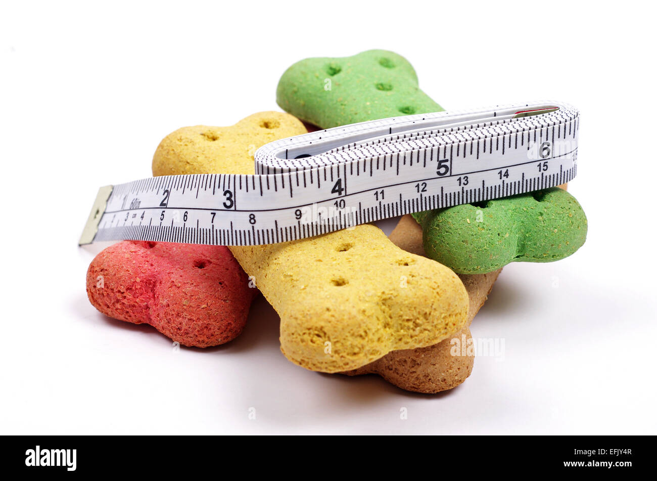 colored dog biscuits and a measuring tape Stock Photo
