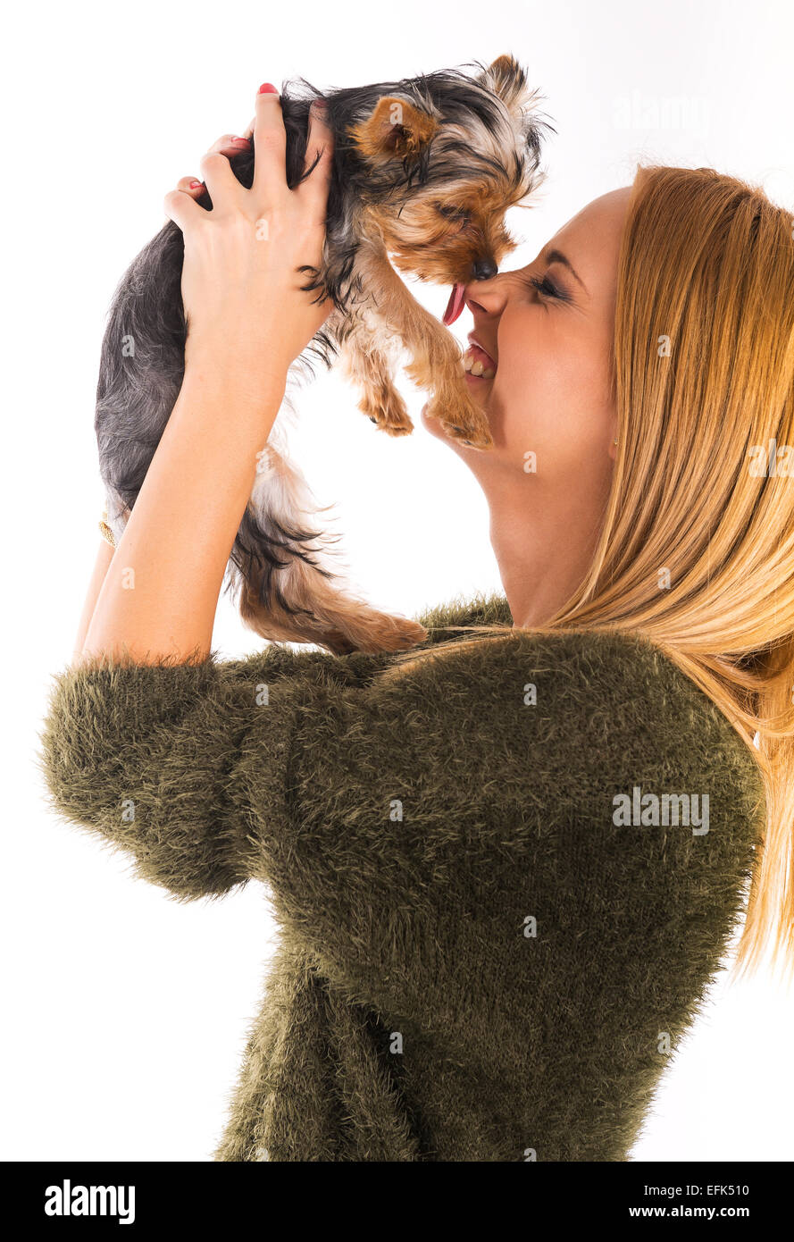 Beautiful woman's Yorkshire terrier dog gives kisses Stock Photo