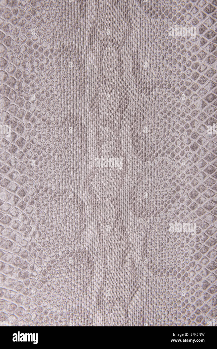 Snake skin seamless pattern vector hi-res stock photography and images ...