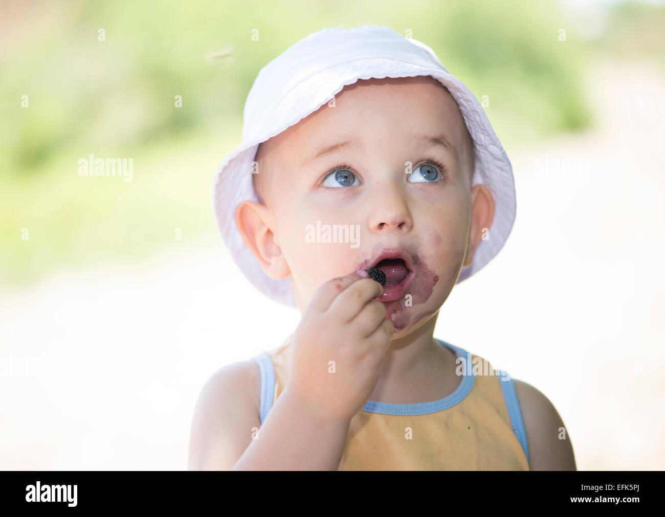 Child eating mulberries Stock Photo