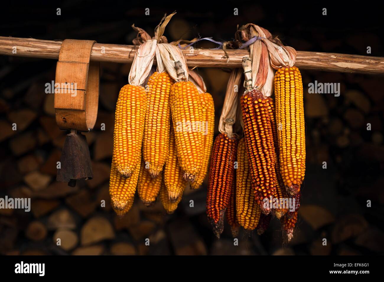 Panicles suspended in drying process Stock Photo