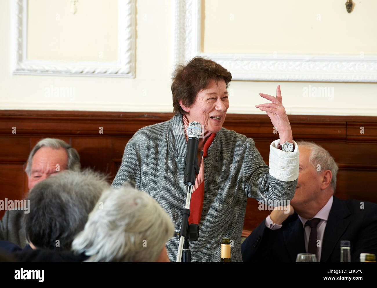 Bridget Riley - Stripe Artist of the Year at The Oldie of the Year Awards 2015 Stock Photo