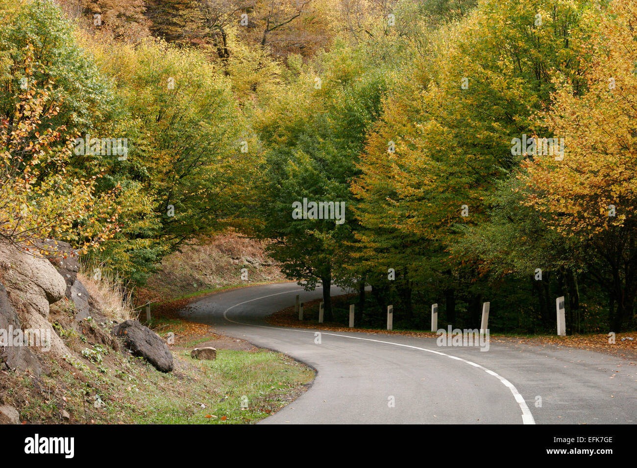 Dilijan hi-res stock photography and images - Alamy