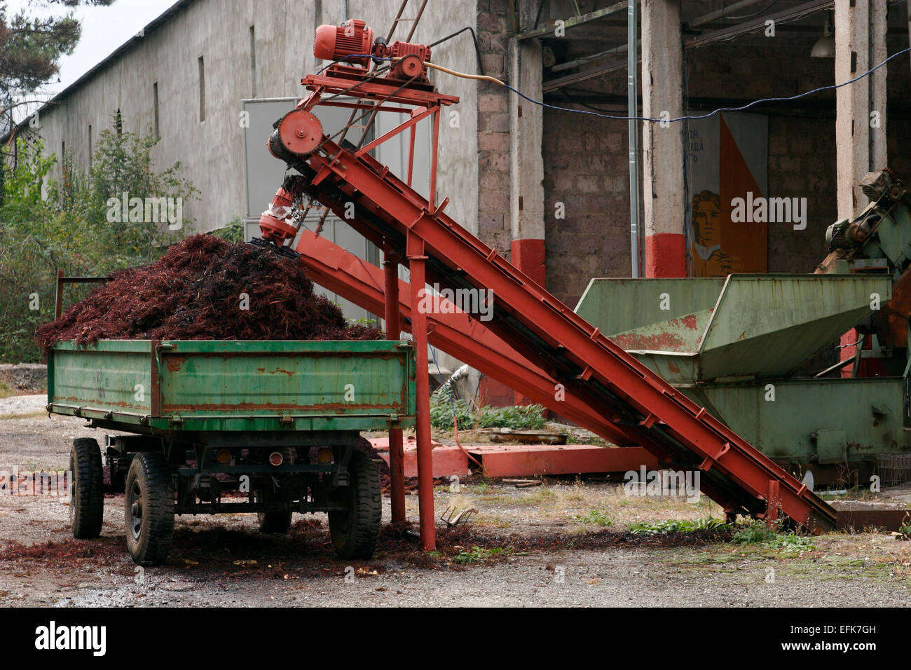 Grape skins and pips after processing, Ijevan Wine-Brandy Factory ...