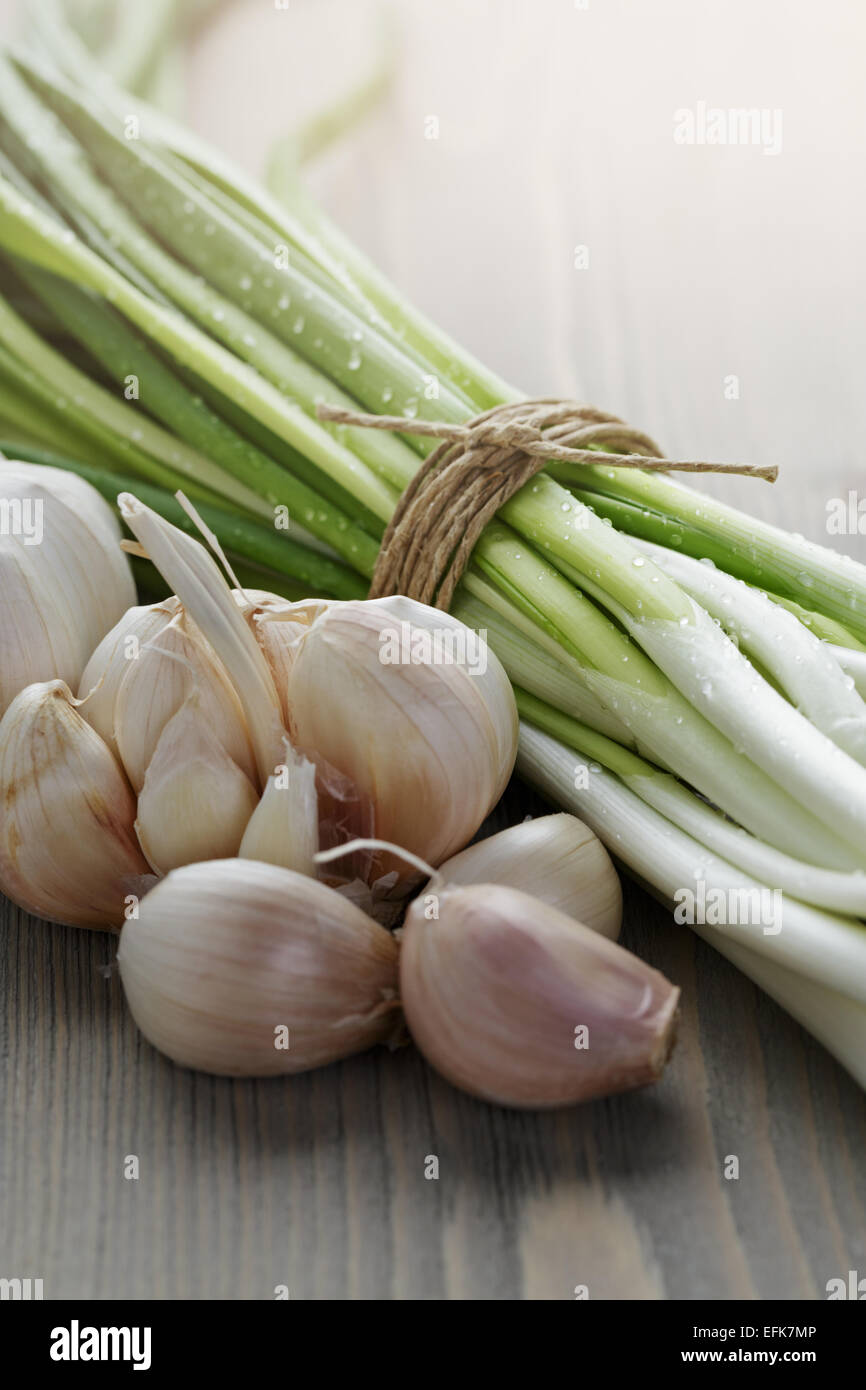 bunch of fresh organic green onions and garlic Stock Photo - Alamy