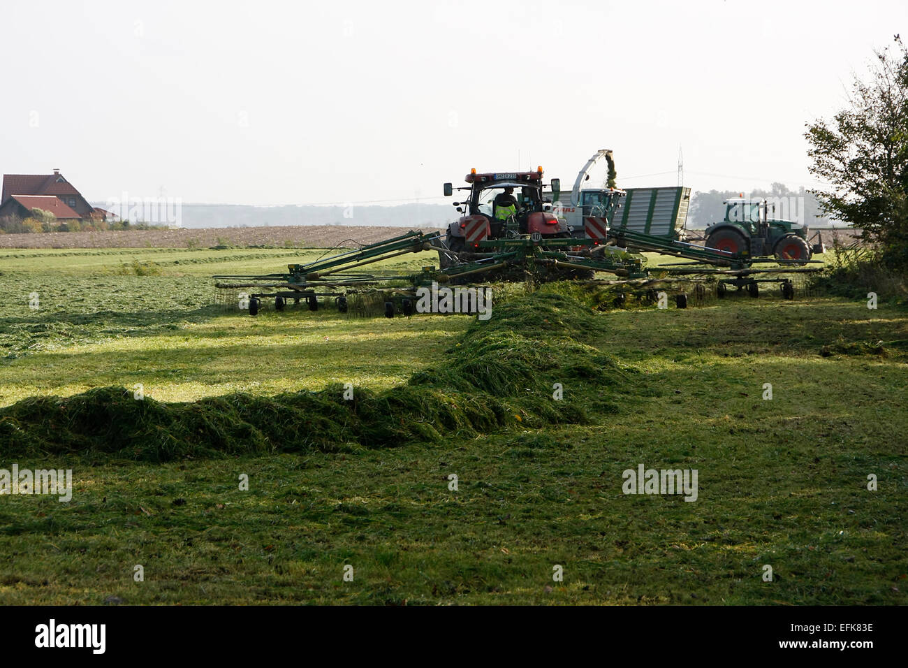 With the Windrower the cut grass is compiled into windrows. Then it is ...