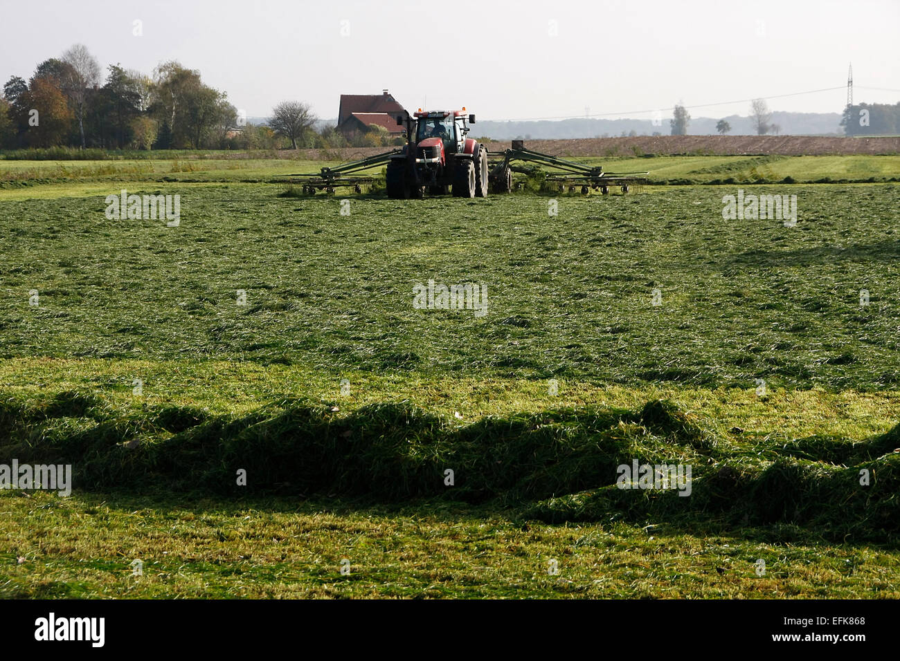 With the Windrower the cut grass is compiled into windrows. Then it is ...