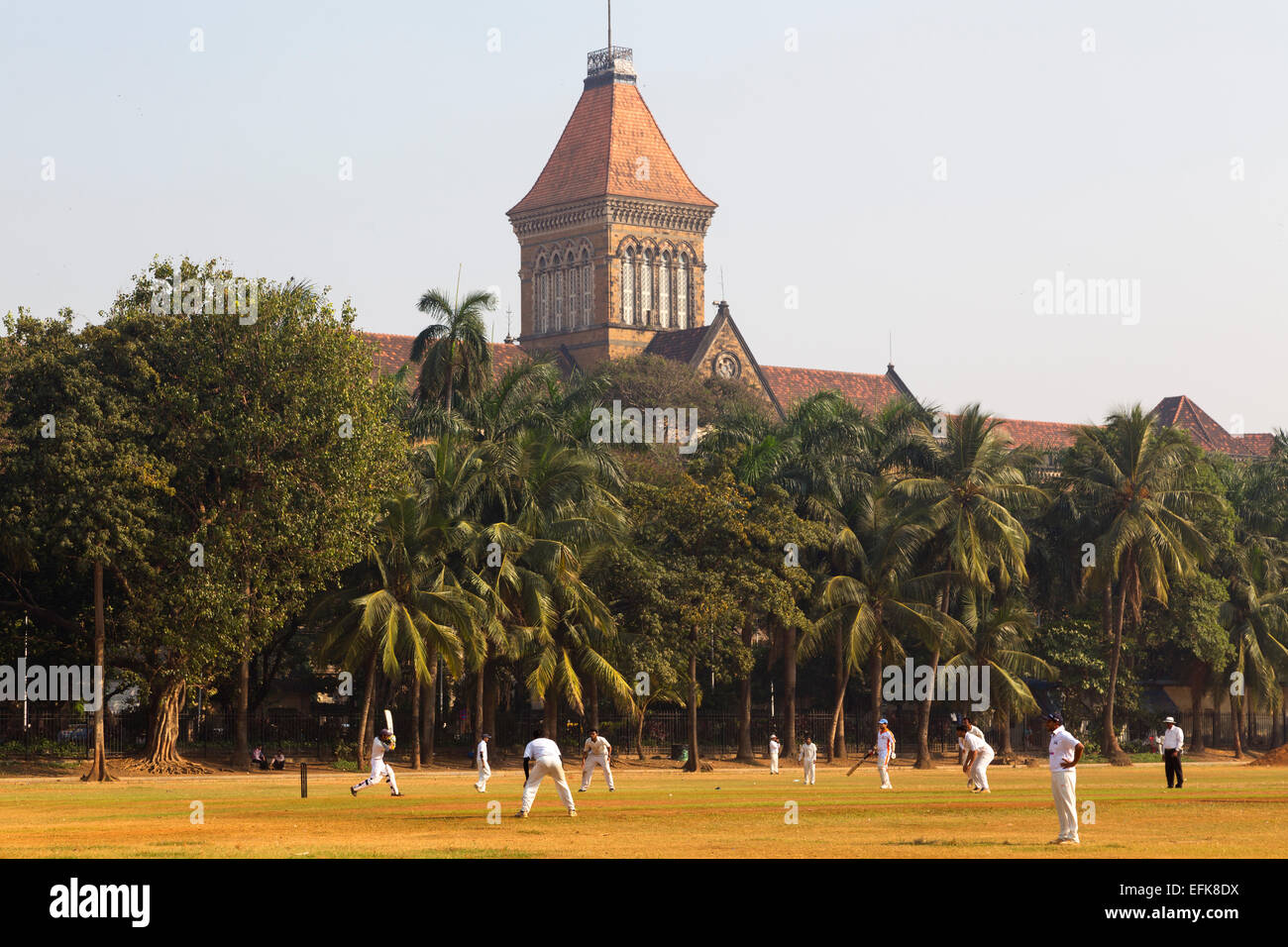 India, Maharashtra, Mumbai, Colaba district, Oval Maidan and men playing cricket Stock Photo