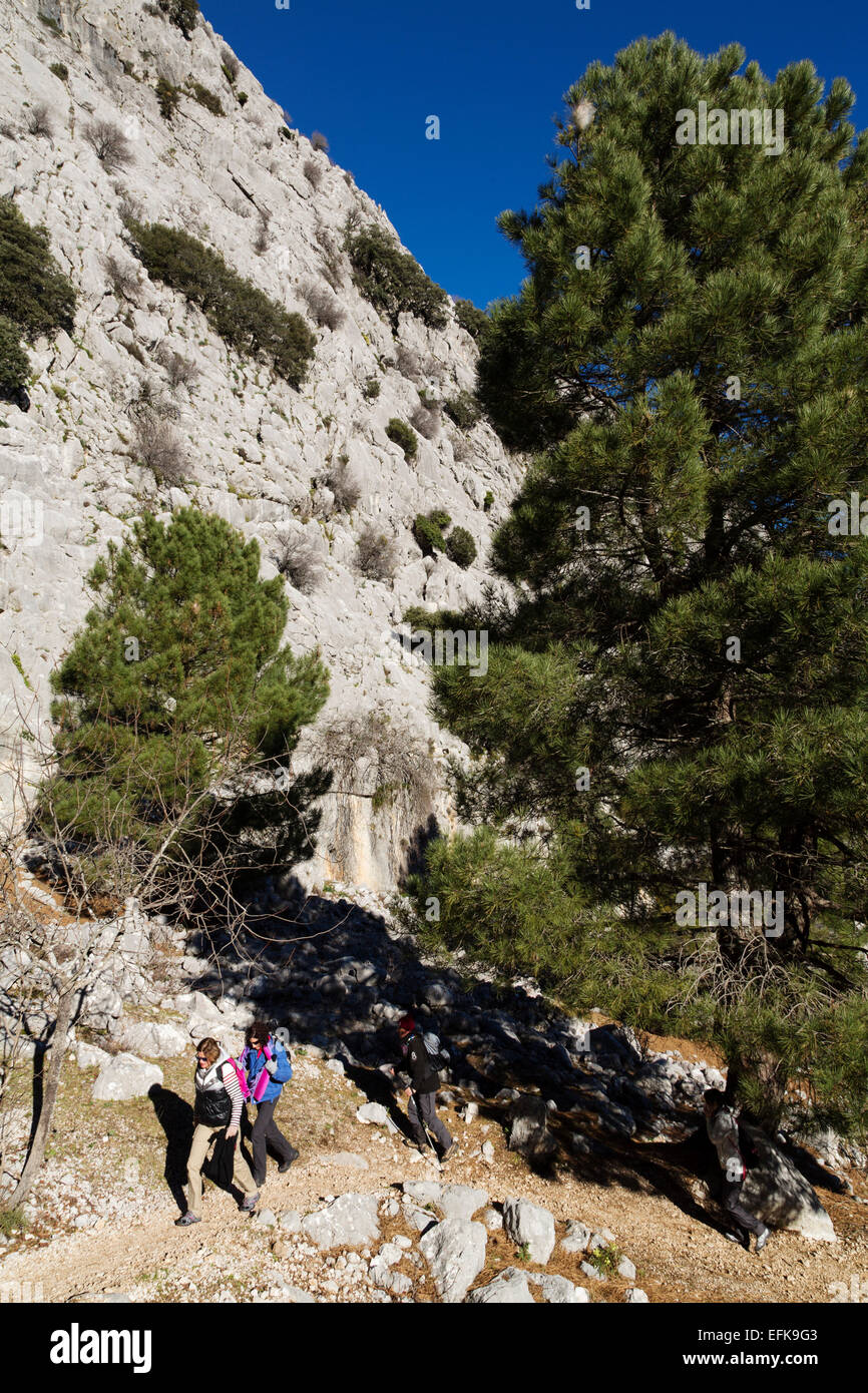 Hikers footpath Sierra Grazalema Cadiz Andalusia Spain Stock Photo